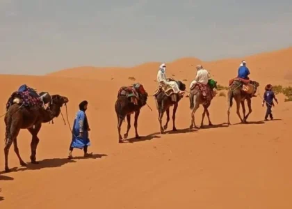 Morocco Desert Expeditions